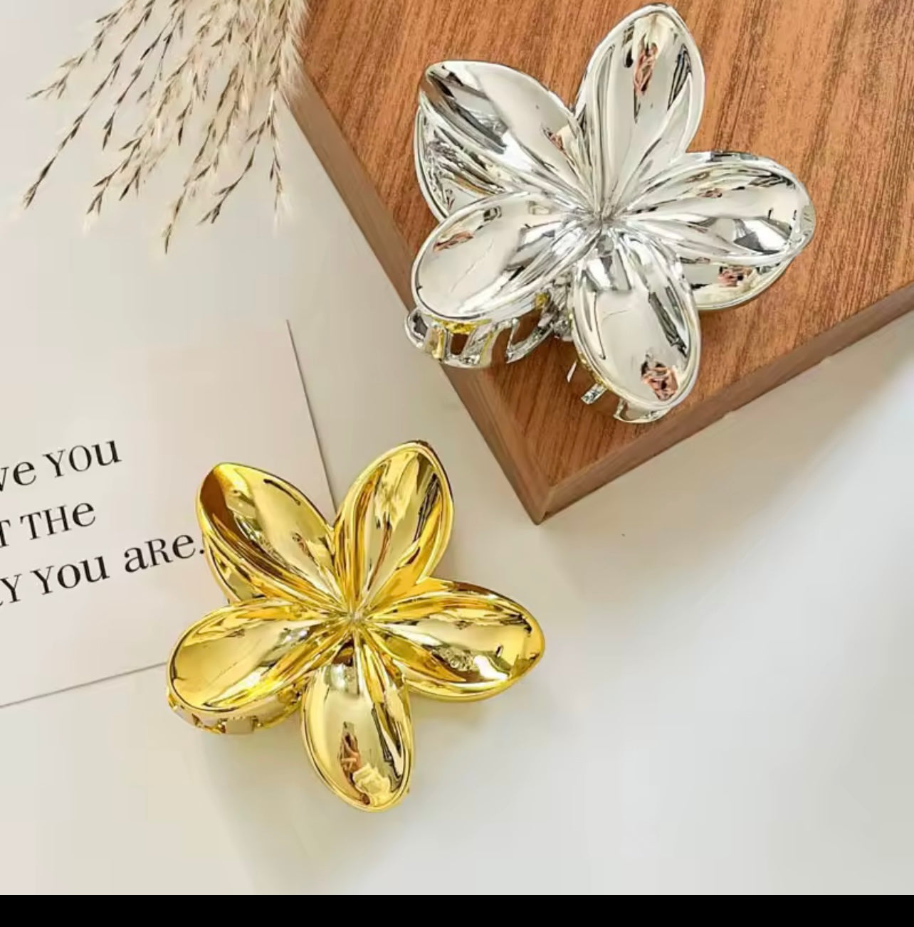 Elegant Hair Claw Clip